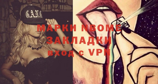 гидра Пестово